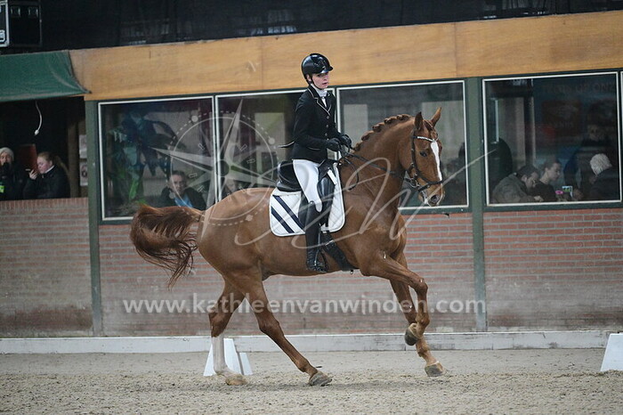 Tuana Luiten - Night Fever