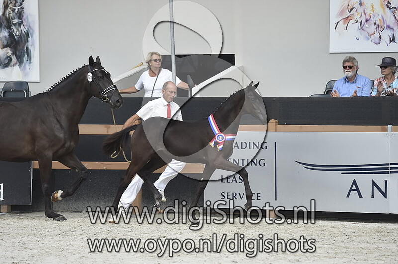 Nina Ricci v. Franklin