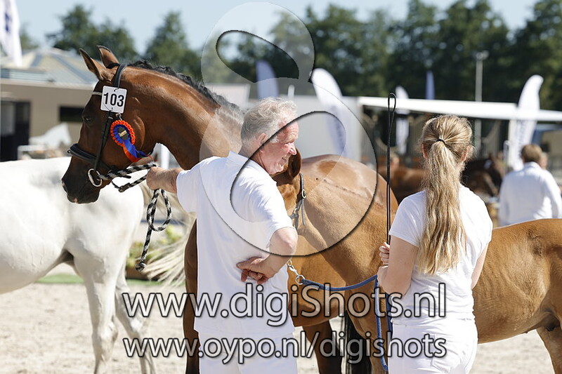 Take a change on me H v. My Blue Hors Santiano