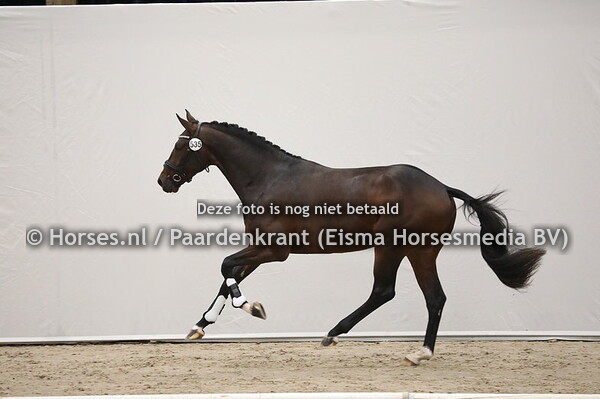 535 Painted Black x Contender