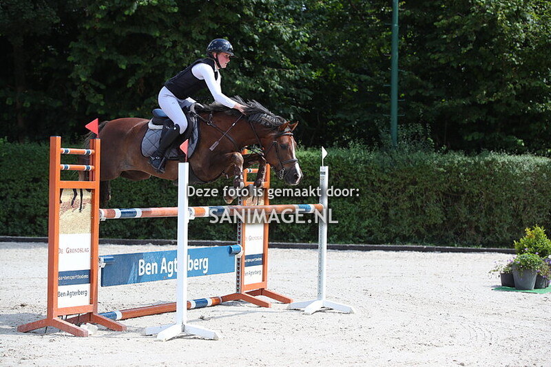 PV Midland Zomerconcours 28-07-2024 Pony's 110/120 cm