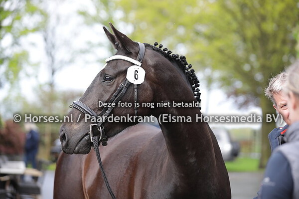 6 Nirvana Vrouwe (Glock's Toto jr x Indiravrouwe xv. Davono VOD)