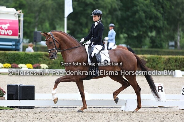 31-07-2025 Pavo Cup halve finale deel vierjarigen
