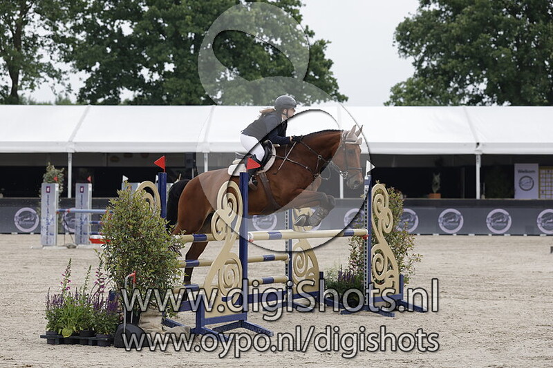 Tess van de Dommelbron