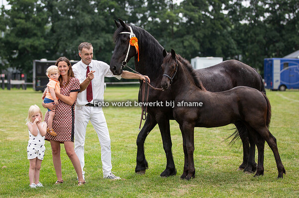 41. Mefrou van Dynamis