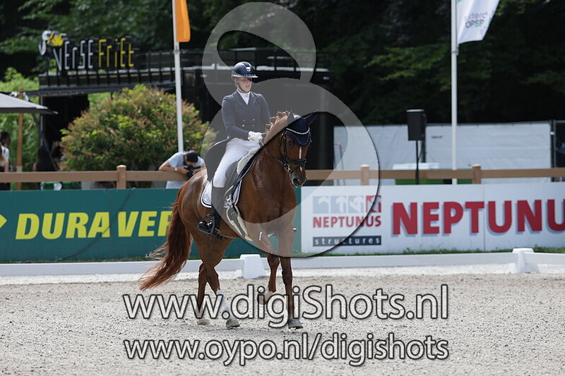 My First Choice Dutopia