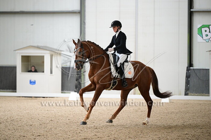 Jesslin Galiart-Vinkesteijn - Nimrod