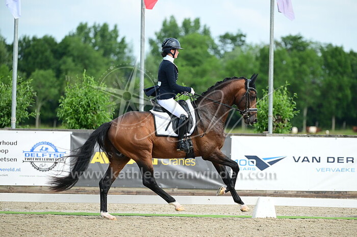 Jill van den Berg - Rocky Mountain Taonga