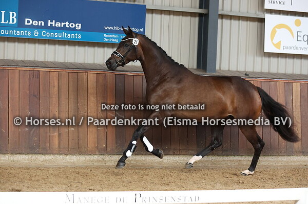 21 Senorita Corieta Texel (Mc Laren x Dolce Corieta v. Voice)