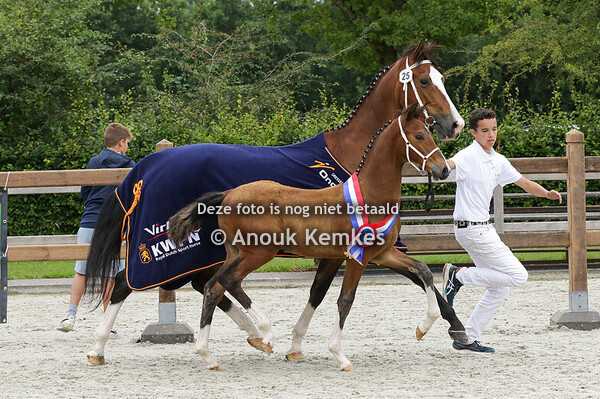 025 - UNESCO GSM NEON GSM X INNOVATIEF J.T. SEINEN, PUNTHORST