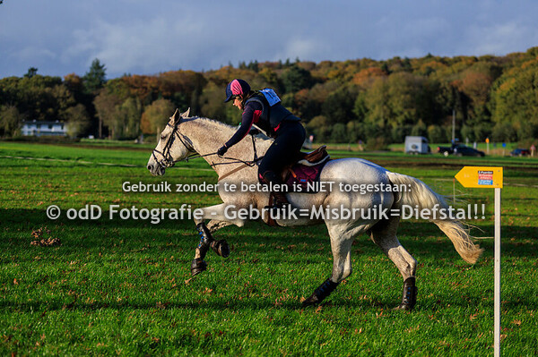 Eventing Barchem paard L 26-10-25