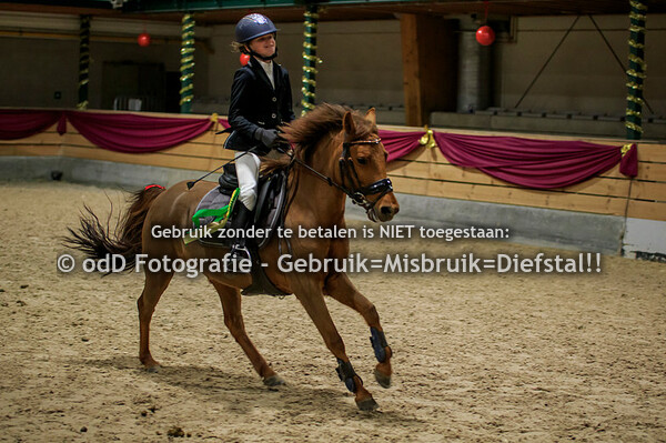 NY Jumping Warredal Pony's balkjes draven en 30-50cm 07-01-22