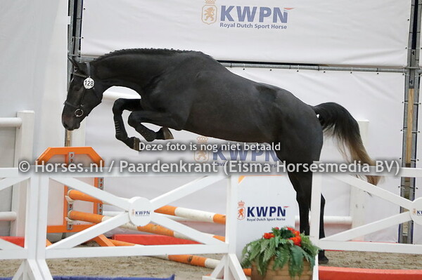 128  Opportunity (Ipsthar x Prosparity v. Lux)