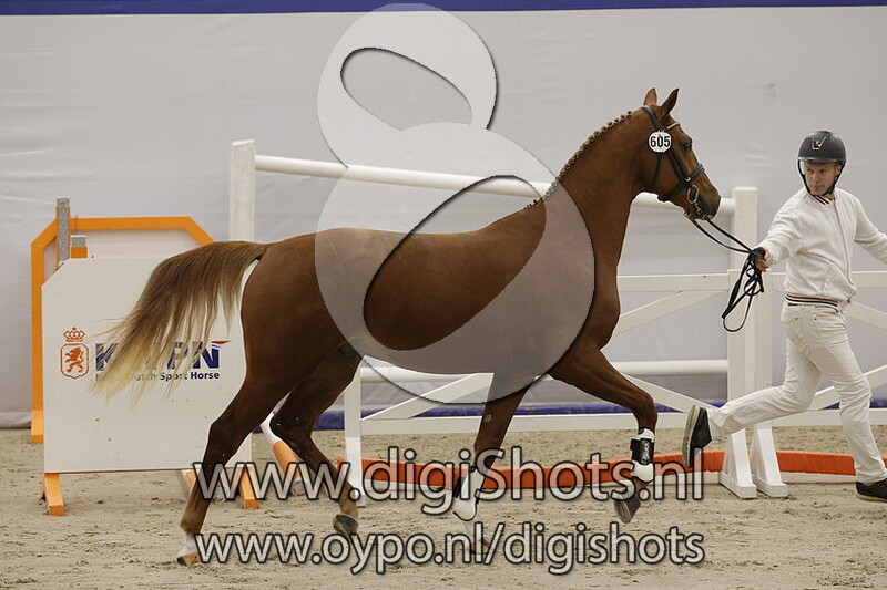 Rotan v. Floris - 605