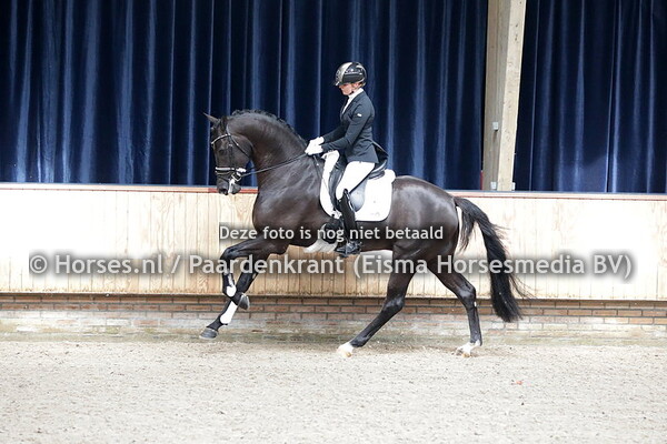 28 Nebrasko Bo (Ferdinand x Blicka v. OO Seven)