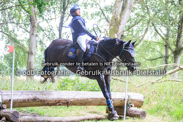SGW Dijkgatbos paard L pony M 26-07-25