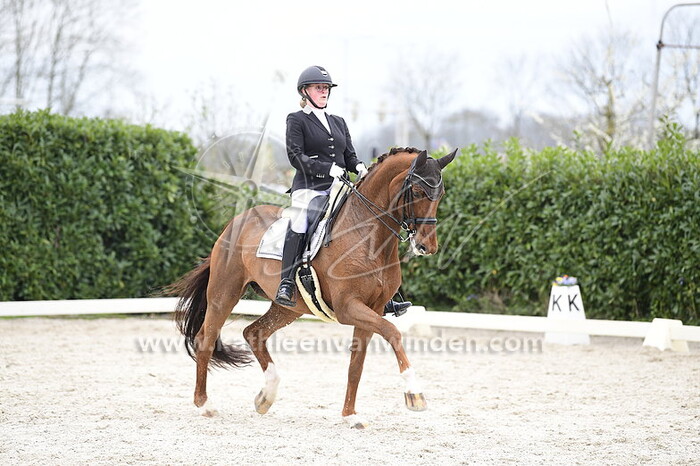 Bofil Bulthuis - Fabulous Four