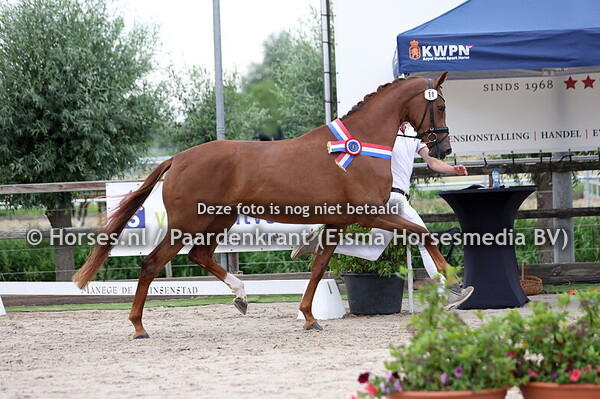 11 Special (Las vegas x Keep Going v. Franklin)