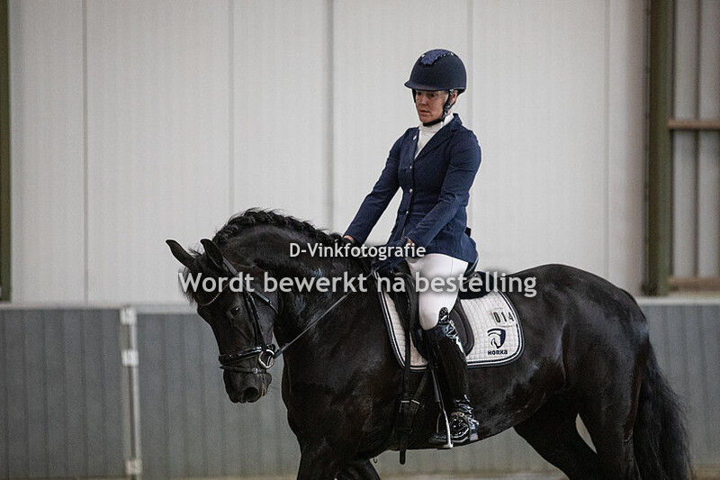 14. Janneke van de Wickeschliede