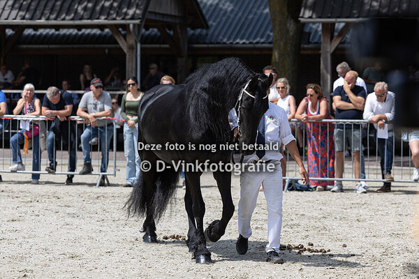 147. Indy C van de Wijdewormer