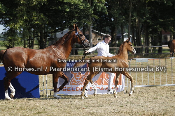 31 Novanti van Heemstate