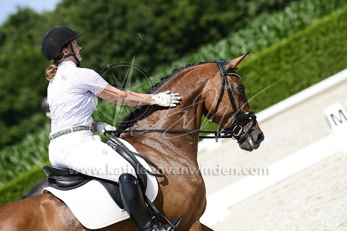 Yari van Steenbergen