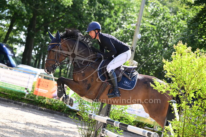 Ellen Zwijnenberg - Odirado GJB