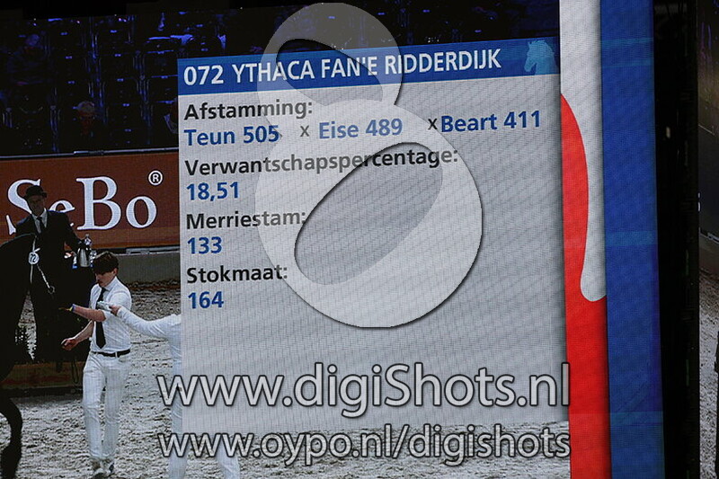 Ythaca fan e Ridderdijk