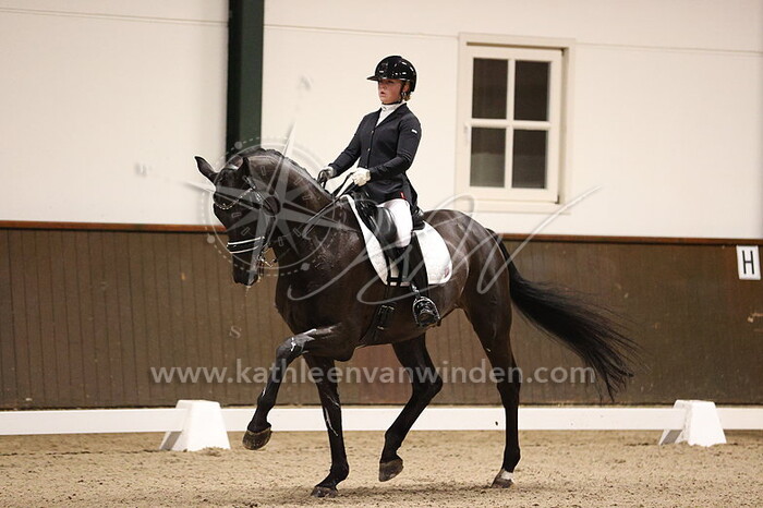 Dena Lammers - Gapstar