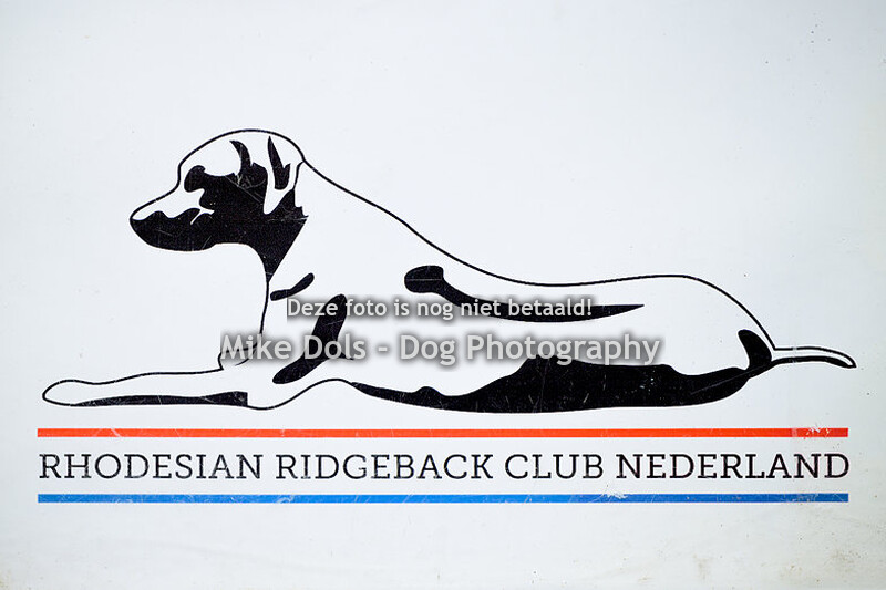 RRCN Jonge honden en Veteranendag