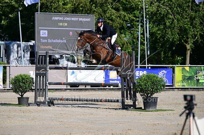 Tom Schellekens - Honette