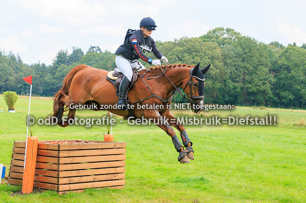 Eventing Norg Paarden M 25-08-24