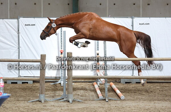 02-07-24 Stamboekkeuring Appingedam