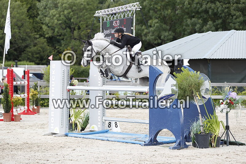 anoek van der pluijm