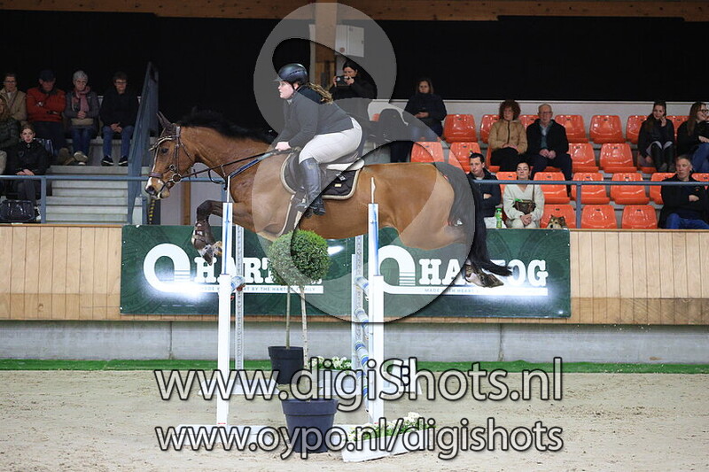 Halizinthe van de Rietvenne