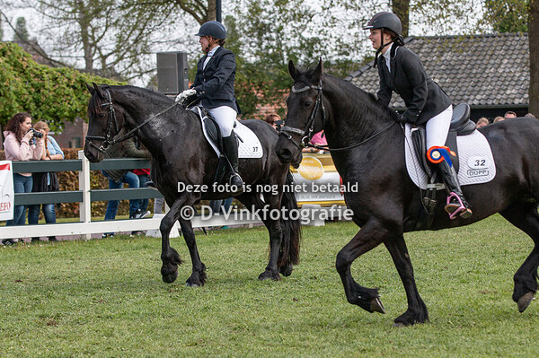 15. Bestgaand rijpaard 3