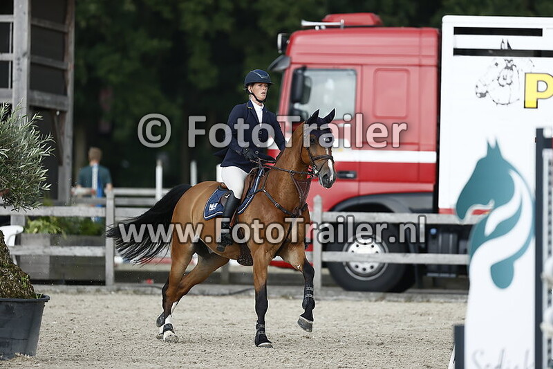 mareille van geel schroder