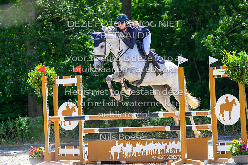 13 Rijstijl paarden 1.00 cm MB-ZB