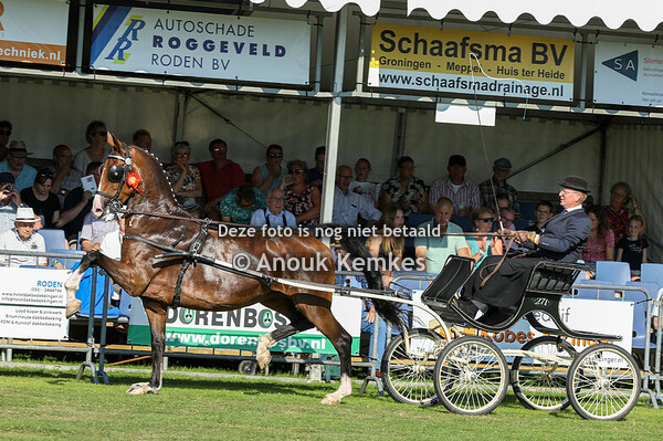 Nationaal TP  Ereklasse 