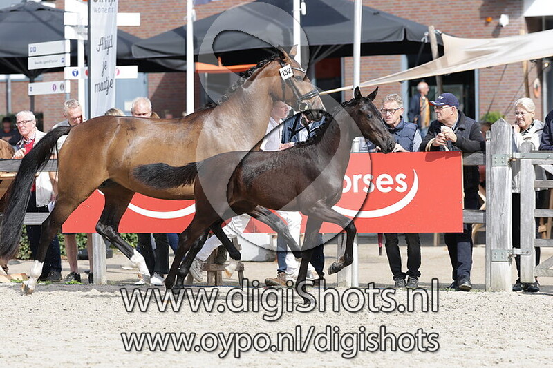 Vie Est Belle v. Obsession Taonga