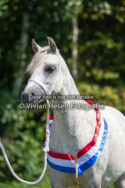 Regionale Keuring Tolbert