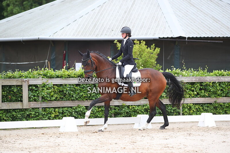 Nationaal scholenconcours 22-05-2024 Dressuur Ring 2 11.00 - 12.00 uur