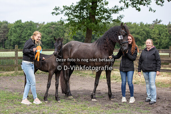 03. Dinthe fan Dulve