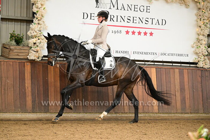 Dana van der Meer - Saffier