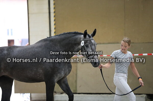 14 Monchou v Toto jr