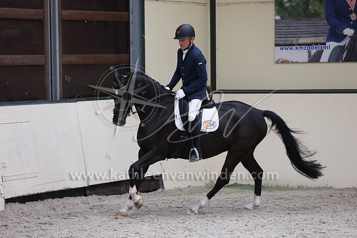 Frans Sturkenboom - No Limit