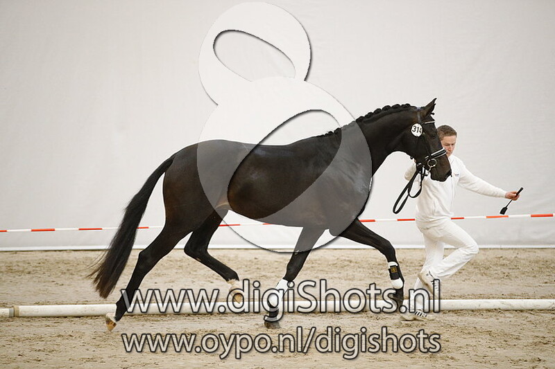 314 Lithium v. Bordeaux