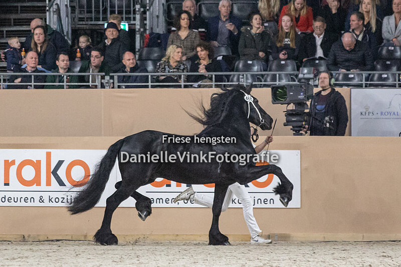 Hengstenkeuring 2023 Alke 468