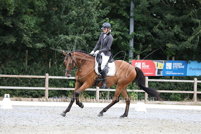 Nikita van Turenhout