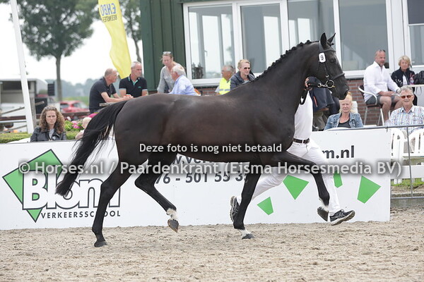 9 H. (Namelus x babelle v. Indoctro)